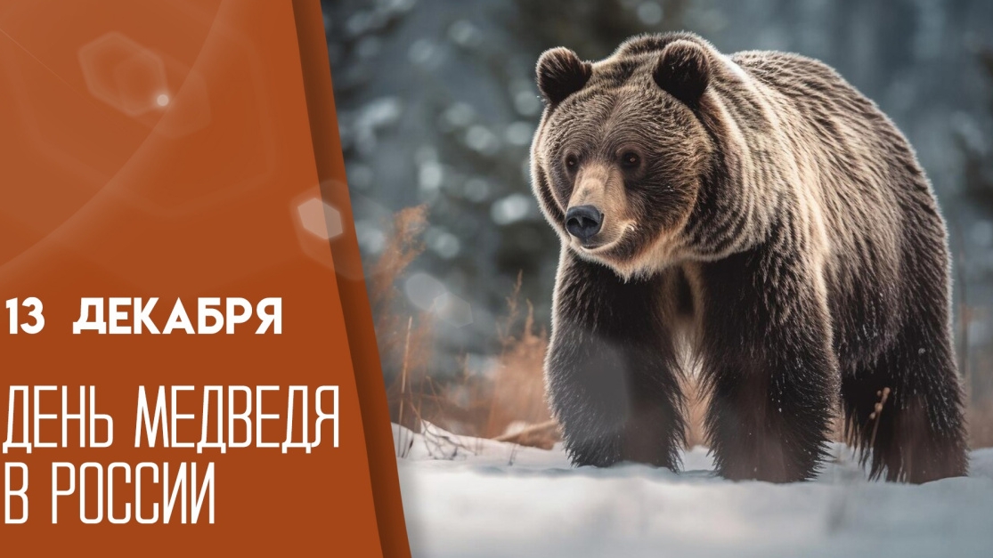 13.12.24 - День медведя