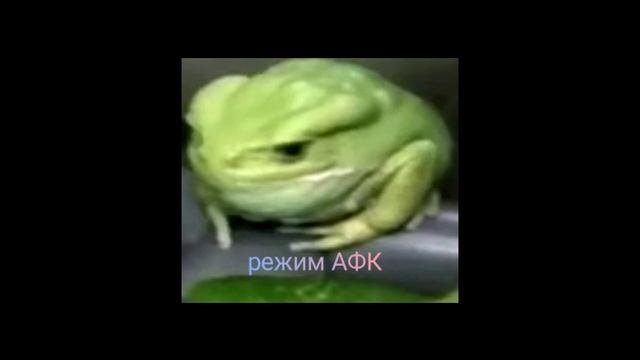 PeRChik_TANKist накурился | читайте опис