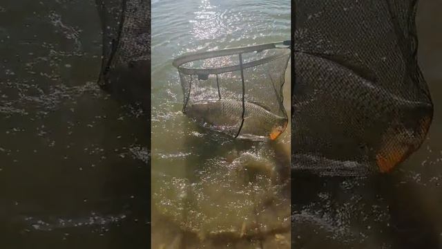 1000014105.mp4