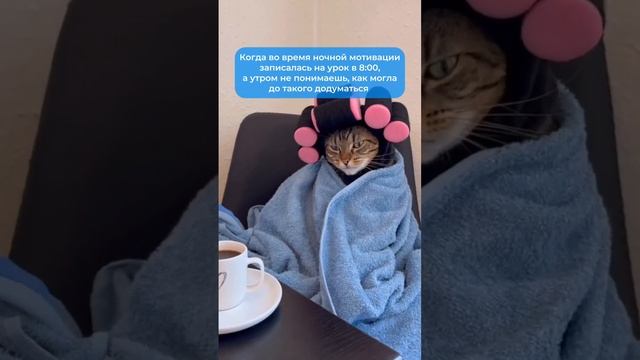🔥 Дарим пробный урок в SHKOLA за подписку!