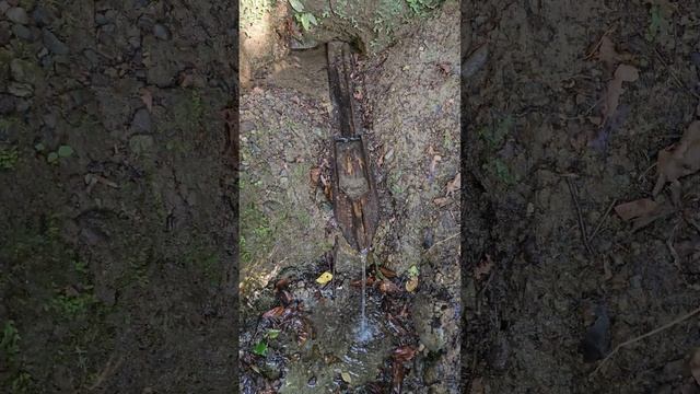 Родник с молодильной водой в Абхазии