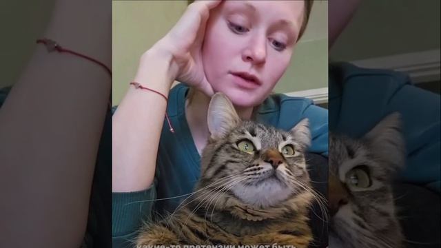 Девушка создала таблицу для своего кота, чтобы показать, сколько уходит на его содержание за год