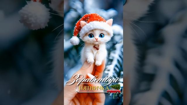#доброеутро  #пятница