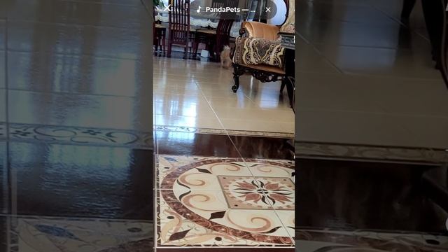 1000230041.mp4