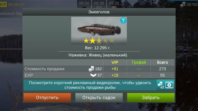рыбалка 🎣 MyFishing новогодний 🎄 подарок. 🎁 👍 барабан с vip
