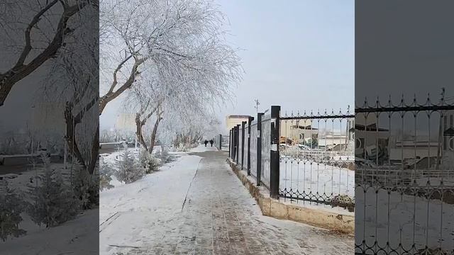 ЖДУ УЖЕ ЧАС. ПАРК. КУНГРАД