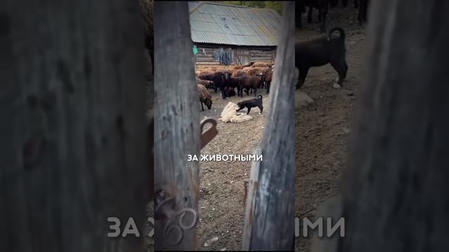 РУССКАЯ ДЕРЕВНЯ СНОВА В ТРЕНДЕ! 🏡