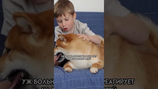 А вы как считаете?