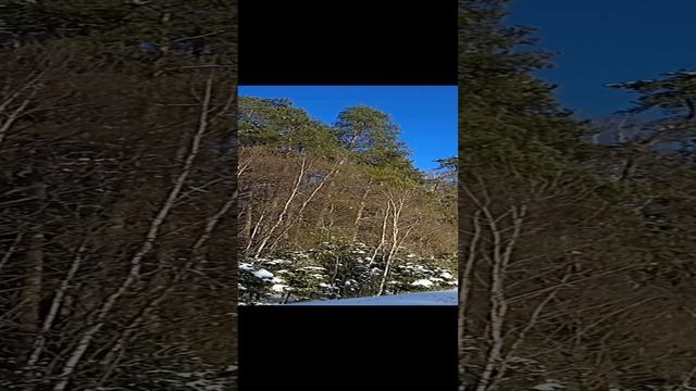 VID_20240220_130235~3.mp4