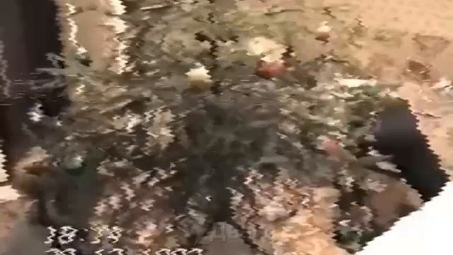 Оллд.mp4