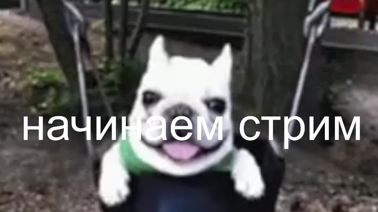Неожиданный стрим