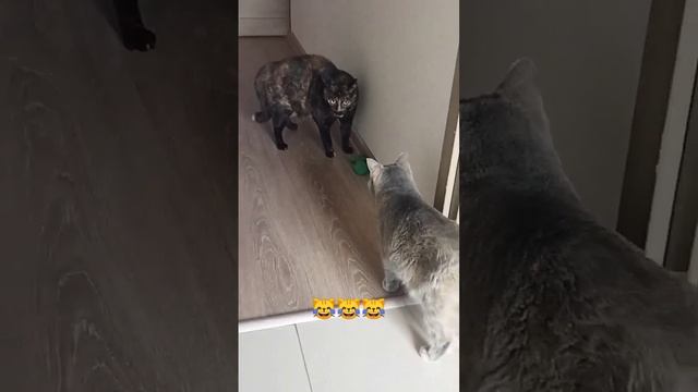 Страшно, очень страшно