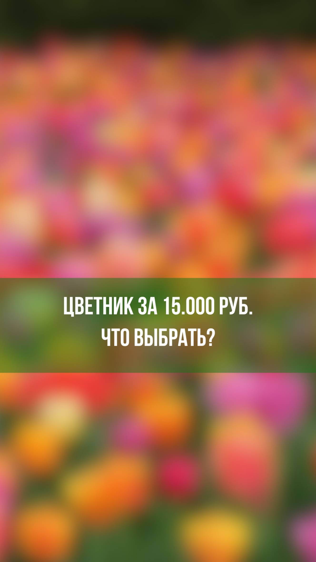 Цветник за 15.000 руб. Что выбрать?