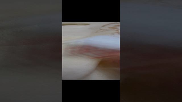 31 декабря .серия 15
