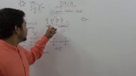 DNA | Basic Biology | SSC | Chapter 12 | Fahad Sir