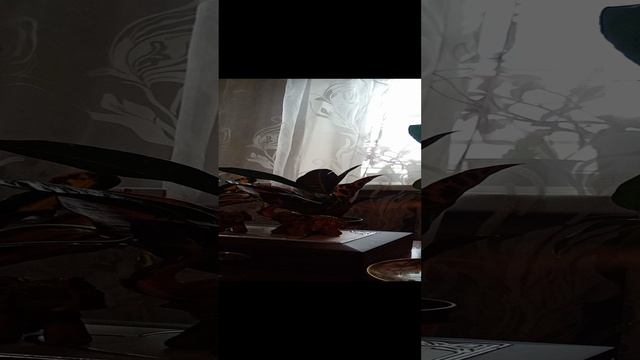 Таро.Важное для вас.