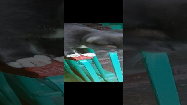 1000017383.mp4