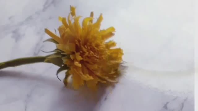 Одуванчик из гибкой мастики
