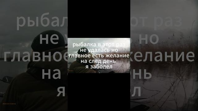 scene_output.mp4