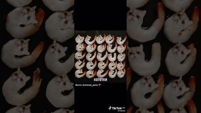 1000008245.mp4