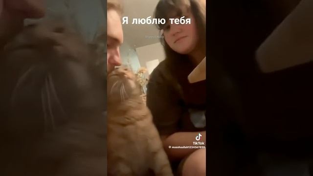 Поцелуйчики