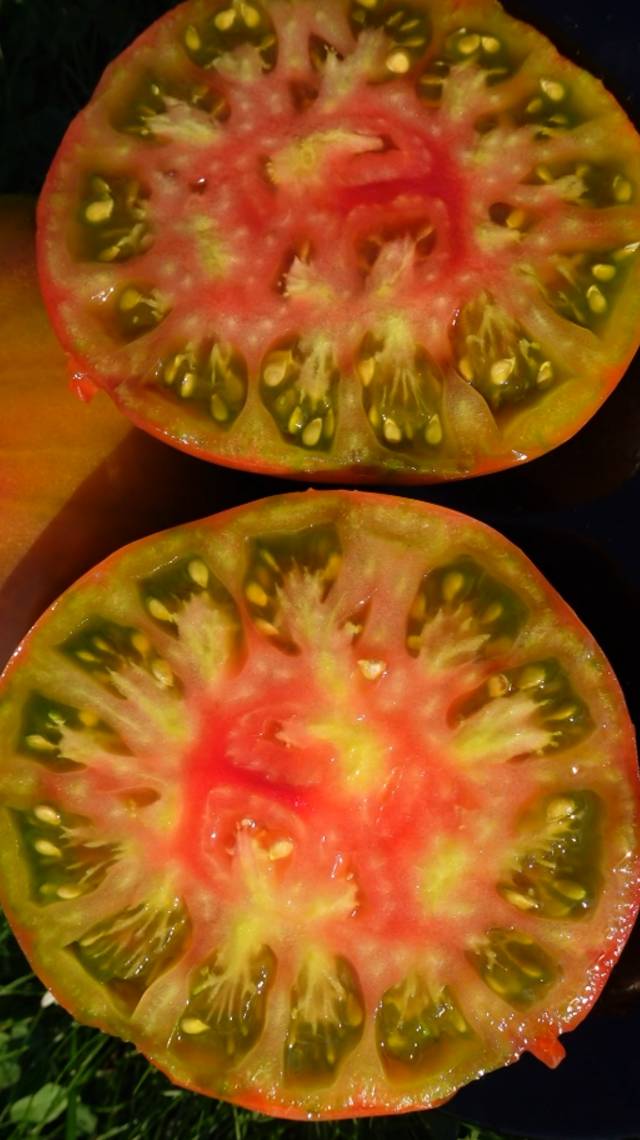 🍅Томат ЧЕРНЫЙ АНАНАС! #shorts #томаты #советы
