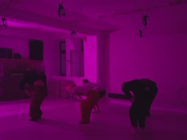 Halloweenie V: The Moss King, dance practice