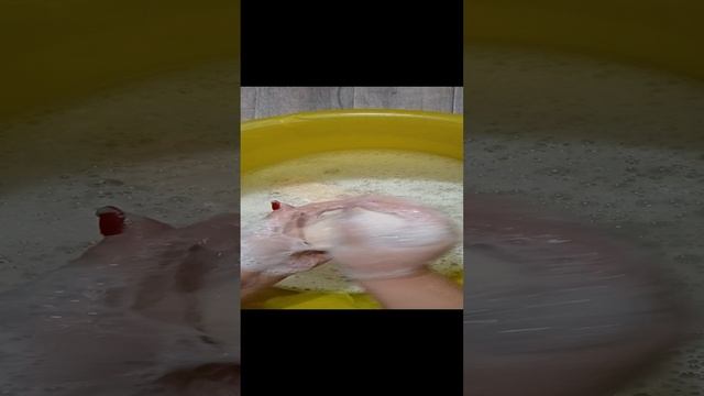 🌿💮ЛЕСНАЯ ПОЛЯНКА☘️💮