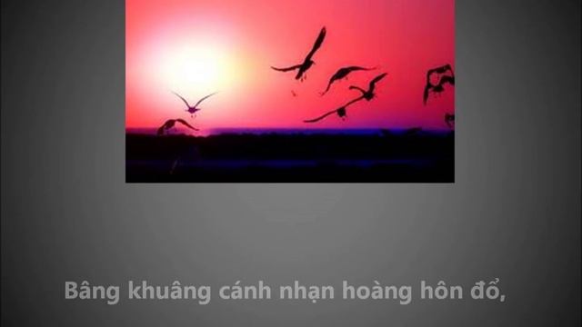 Rồi Cũng thế thôi một cuộc đời - Minh Hải