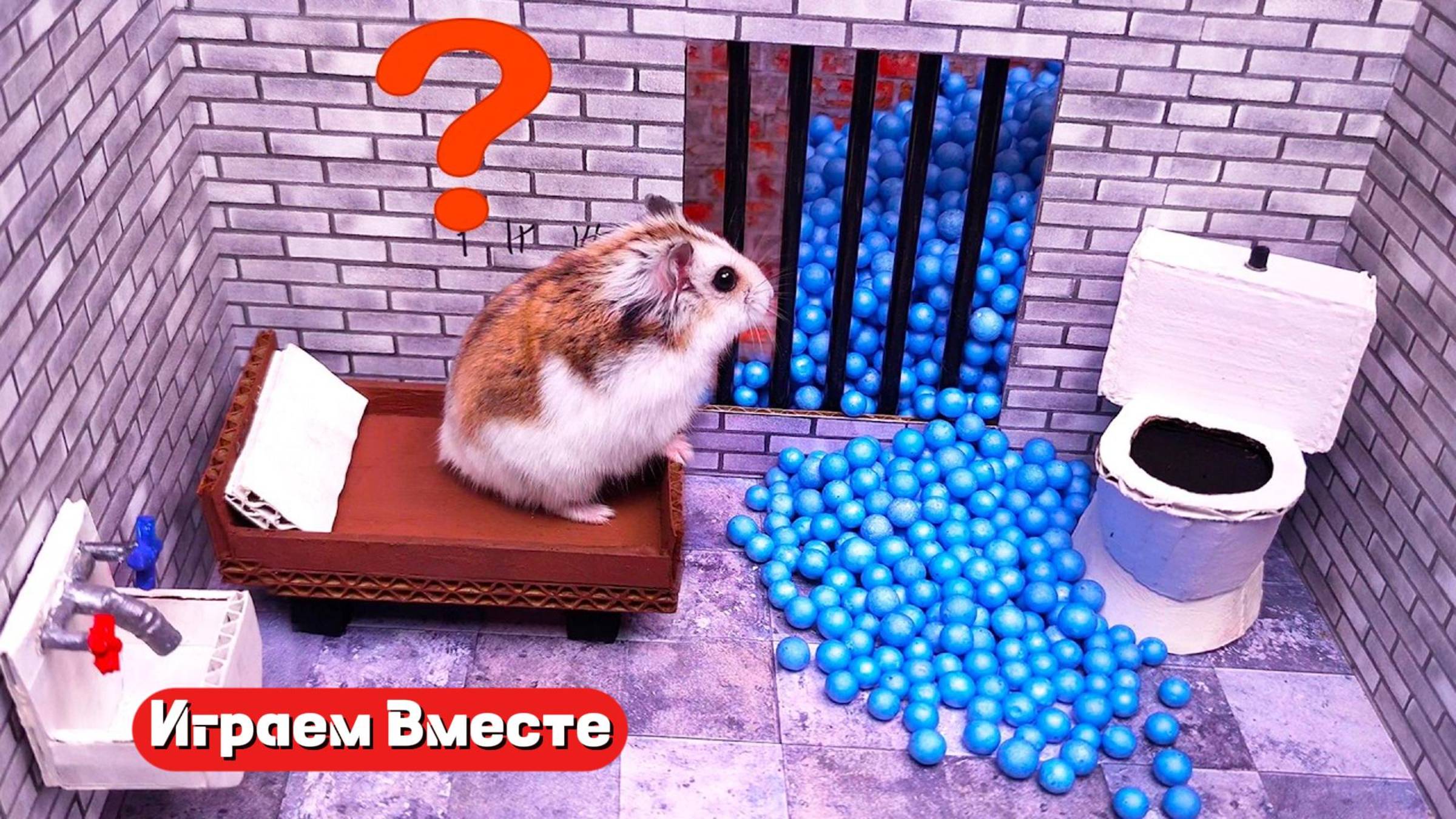 Вместе с хомяком выбираемся из КРУТОГО ЛАБИРИНТА С ПРЕПЯТСТВИЯМИ !