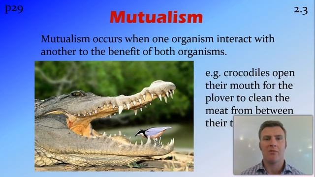 Biotic Interactions