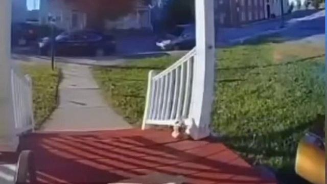 Последний чизбургер был лишним
