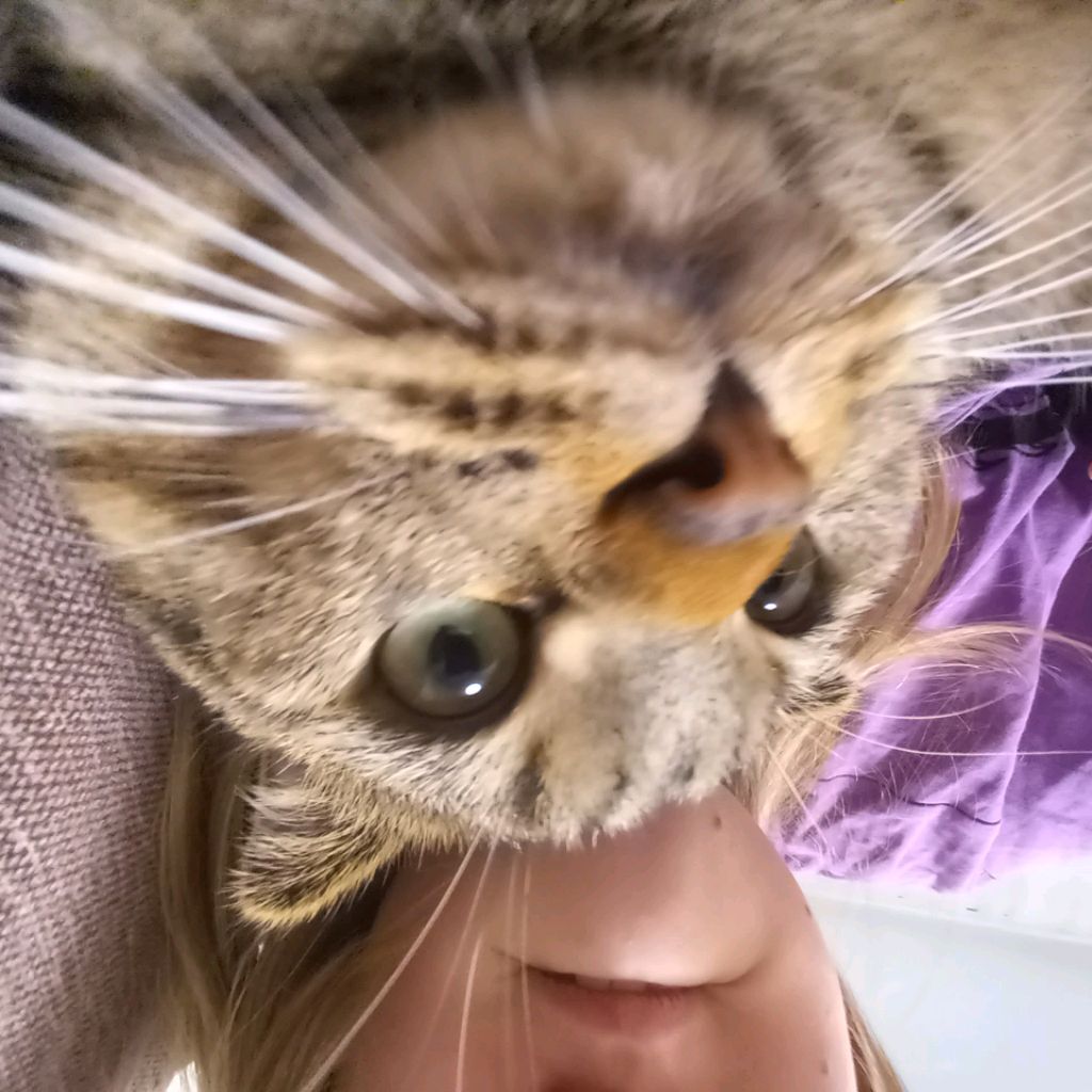 тихий час