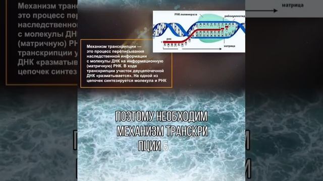 Один из главных вопросов человечества - как всё это появилось?