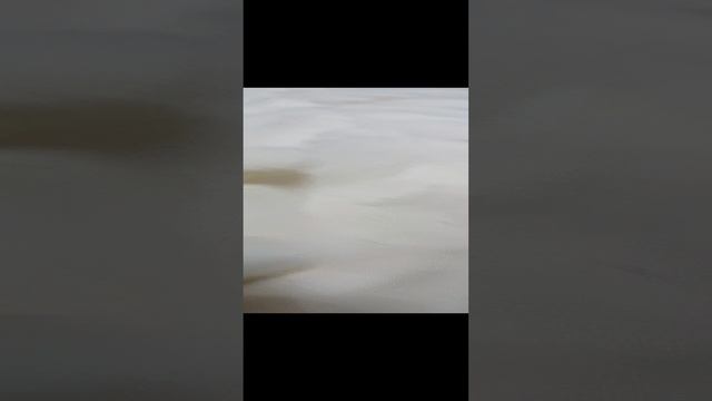 31 декабря .серия 20