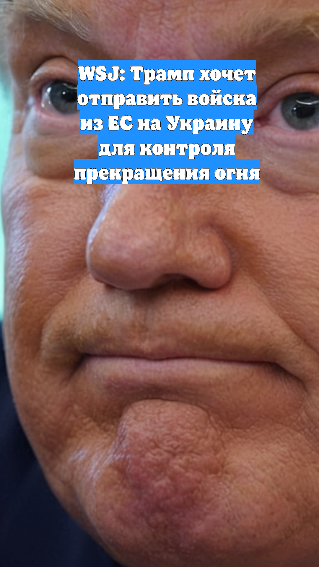 WSJ: Трамп хочет отправить войска из ЕС на Украину для контроля прекращения огня