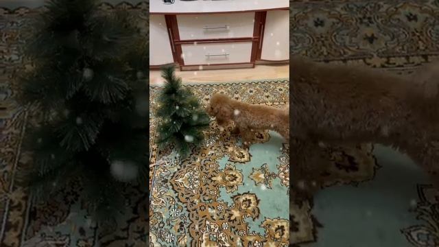 ЭМИ ГОТОВИТСЯ К НОВОМУ ГОДУ