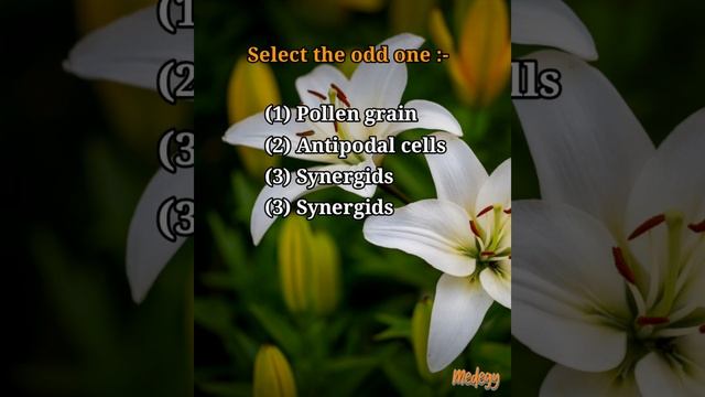 Neet important | Sexual reproduction in flowering plants | mcq 1 #neet #biology #reproduction