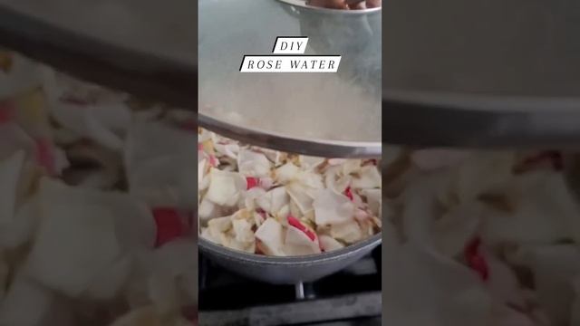DIY Rose Water