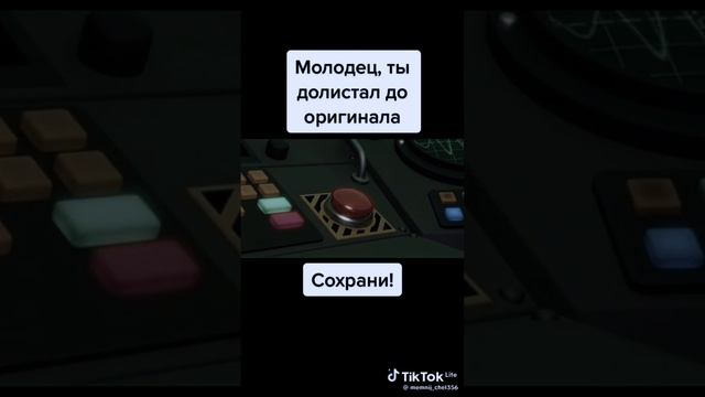 Котик и пионина