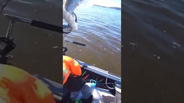 Опустил прибор в воду - и случилось это!