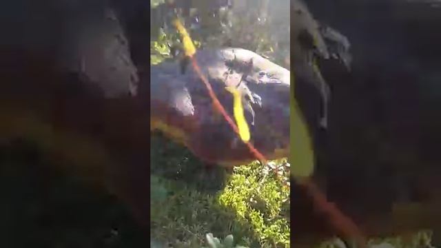 ♥️Красота❤️