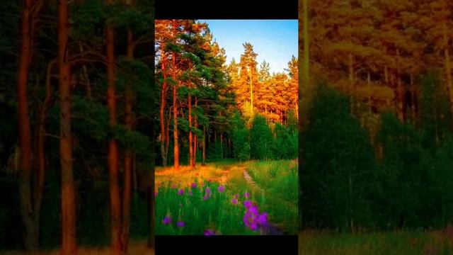 Я жду лето только из за этой атмосферы!                Сердце замирает❣️