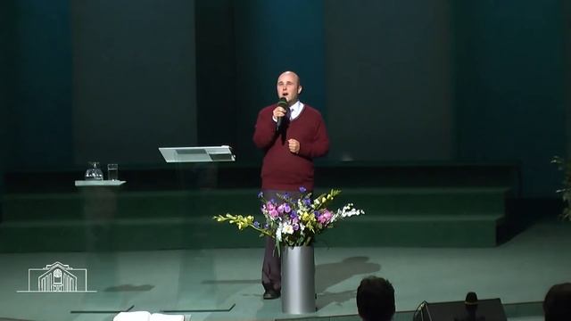 Как хорошо белым птицам — Вадим Сорокин