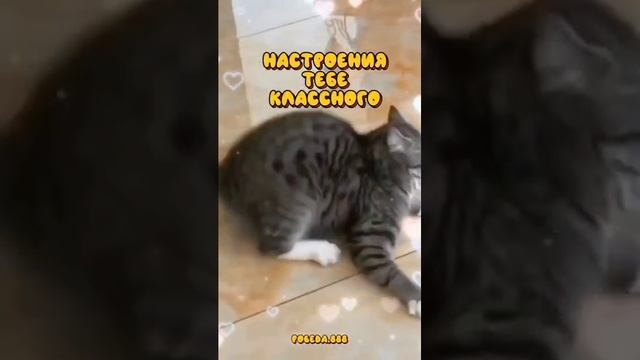 1000486695.mp4