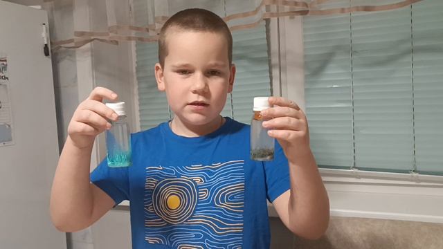 Результат водоросли