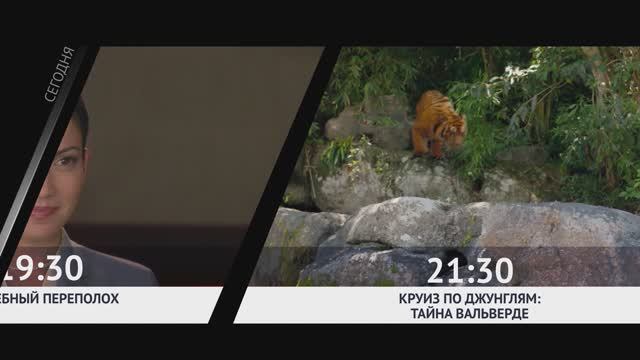 СМОТРИ СЕГОДНЯ НА КИНОКОМЕДИИ