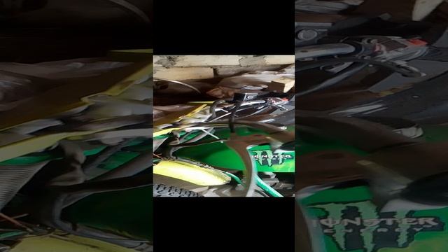 VID_20241213_125412.mp4