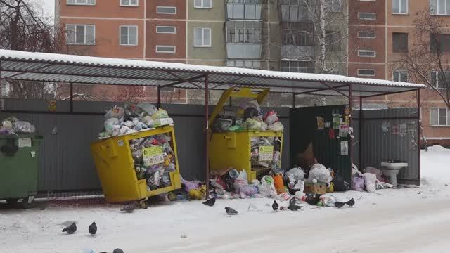 Мусорный коллапс в Искитиме: кто вывезет ТКО?