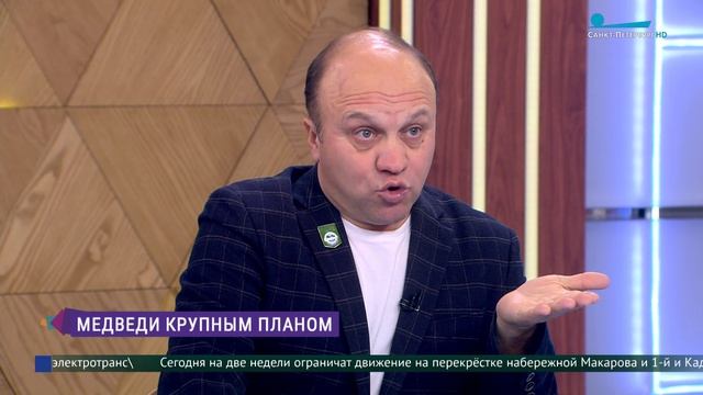 Рожают во сне, действительно грызут лапу, практически вегетарианцы. Удивительные факты о медведях